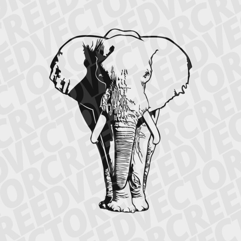 Puede incluir: Ilustraci&oacute;n en blanco y negro de un elefante con orejas grandes y colmillos. El elefante est&aacute; de frente y tiene un patr&oacute;n detallado y texturizado en su cuerpo.