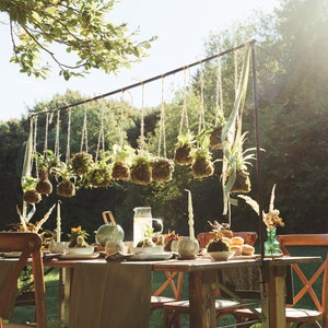 Handgemachte Kokedama I Japanischer Moosball I Hängender Garten I Zimmerpflanze