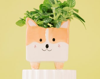 Corgi dog planter plant gift idea animals