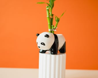 Panda Blumentopf I Pflanztopf Pandabär