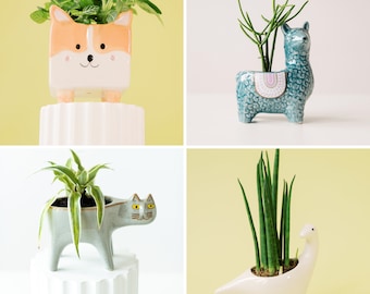 Plant pots animals special gift idea flower pot pot