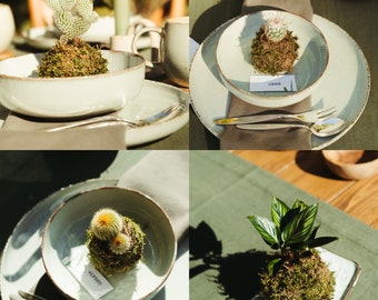 Kokedama sorpresa: decoración de mesa de fácil cuidado para su boda o evento