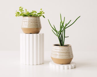 Skandi Keramiktopf mit Mini Zimmerpflanze