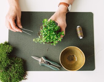 DIY Kokedama Videokurs - Lerne wie du deine Kokedama gestaltest I