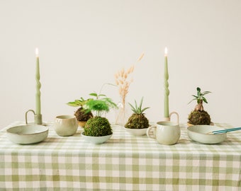 Kokedama Hängender Garten Zimmerpflanze Fensterdeko Hauspflanze Pilea Marante Sukkulente