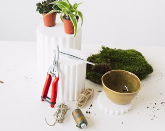 10 teiliges Kokedama DIY Set für 2 Kokedamas I Deko für Zuhause oder als Geschenk