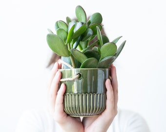 Green hanging ceramic pot with suspension made of rope ceramic concrete look