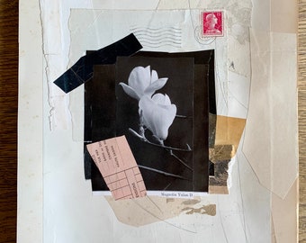 Collage Magnolia