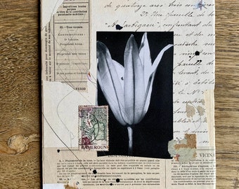 Collage ‘Tulip’