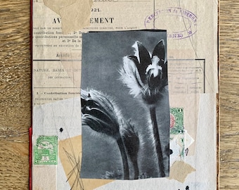 Collage 'Sello verde'