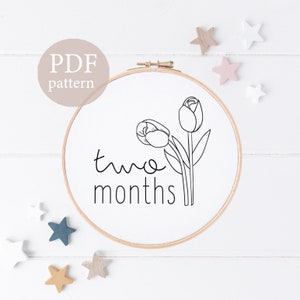Bordado de hitos para bebés, descarga instantánea, accesorios para fotos de bebés, marcadores de hitos para recién nacidos, bordado de bricolaje, regalo para baby shower, lindo bordado