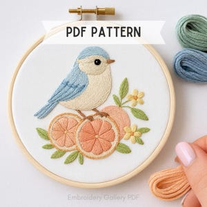 Bird Hand Embroidery, Bird Pattern, Orange Slice, Modern Floral, Beginner Friendly, Nursery Wall Art, Digital Hoop Art, Printable Template