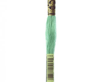 May include: A skein of DMC embroidery floss in color 563, a light green shade. The floss is wound on a card with the DMC logo and the color number.
