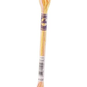May include: A single skein of embroidery floss in shades of yellow, peach, and cream. The floss is wrapped around a cardboard label with the brand name and color code. The color code is 4100.