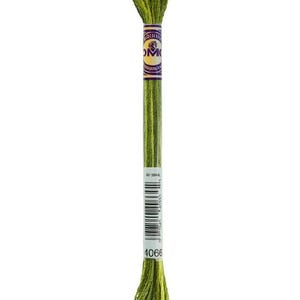 May include: A skein of DMC embroidery floss in shades of green. The label is purple and white with the DMC logo. The color number 4066 is visible on the label. The floss is tightly wound and ready for use.
