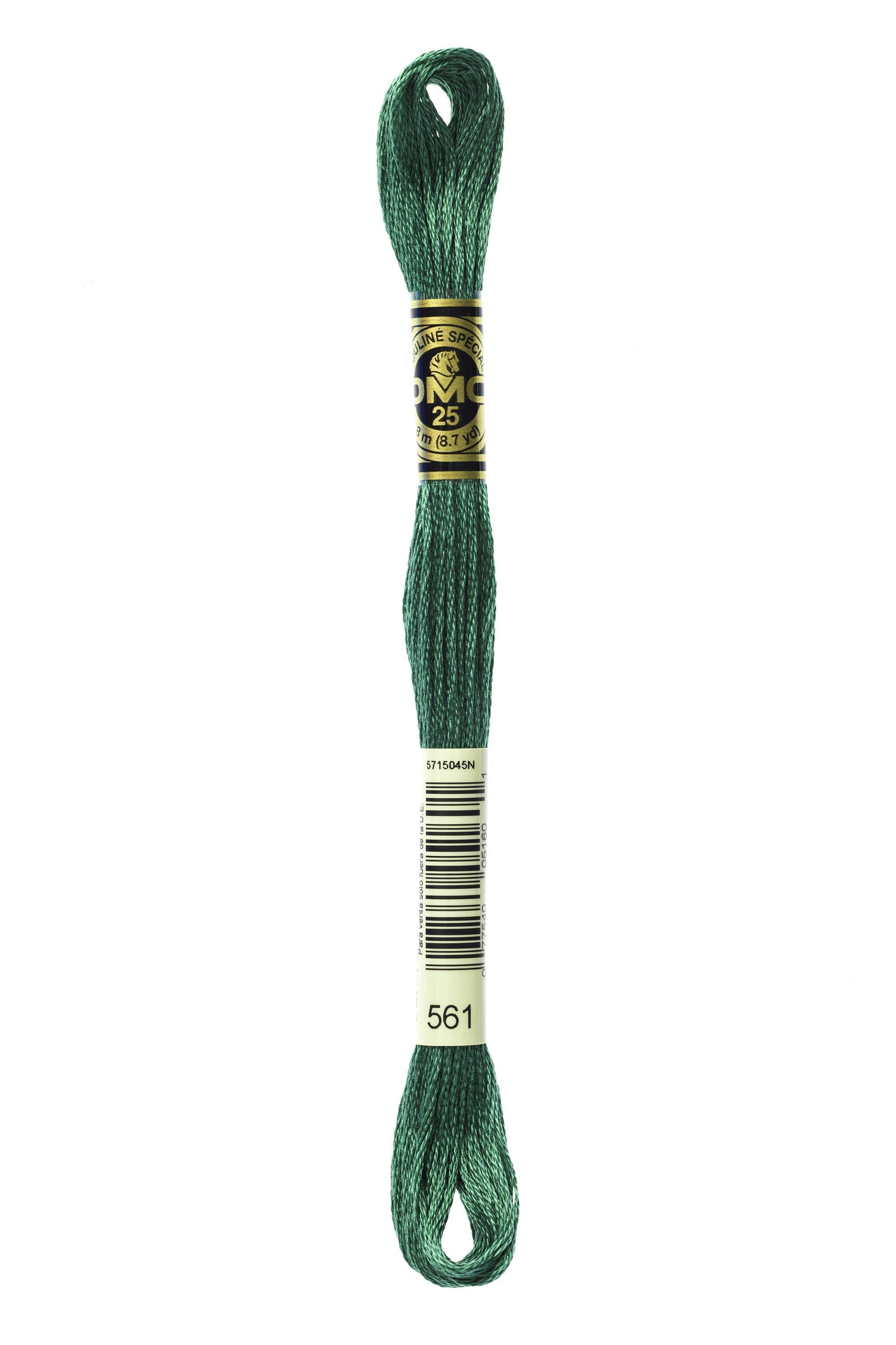 Trimits Set Di Filo Da Ricamo In Cotone Mercerizzato - Confezione Da 36 Matasse, 8 Metri L'una, 6 Capi, Colori Brillanti E Vari, Per Punto Croce E Creatività - 4