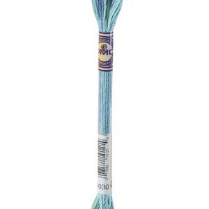 May include: A skein of DMC embroidery floss in shades of blue and green. The floss is wrapped with a purple and white label. The barcode and the number 1030 are visible on the label. Ideal for cross-stitch and embroidery projects.