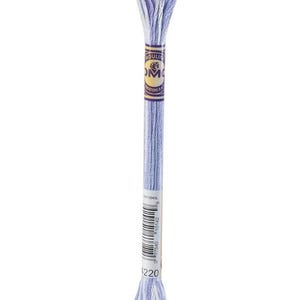 May include: A skein of DMC embroidery floss in shades of blue and white. The floss is wrapped with a paper label that includes the brand name and product information. The color number is 1220.