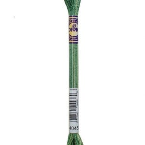 May include: A single skein of DMC Mouline Stranded Cotton embroidery floss in shades of green. The label is purple and gold. The color number 4045 is visible on the label. The floss is tightly wound at both ends.