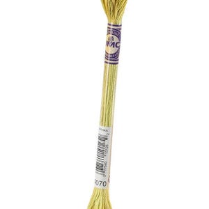 May include: A skein of DMC embroidery floss in a pale yellow-green color, labeled with the number 4070. The floss is tightly wound and features a DMC label with the brand name and color information.