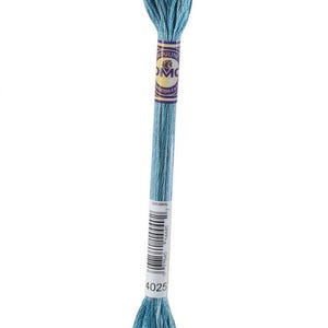 May include: A single skein of DMC embroidery floss in a light blue color. The floss is wrapped and labeled with a purple and gold DMC brand label. The number "4025" is printed on the bottom of the label.