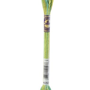 May include: A skein of embroidery floss in shades of green and blue. The floss is labeled with the number 4050 and a barcode. The DMC brand label is visible. This craft supply is ideal for embroidery, cross-stitch, and other needlework projects.