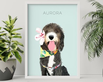 Pet Illustrations