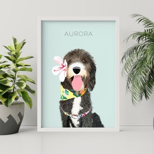 Pet Illustrations