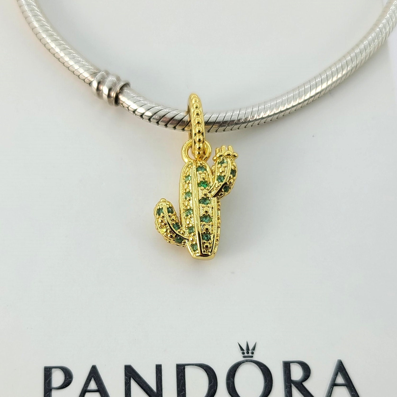 Cactus pandora shop charm