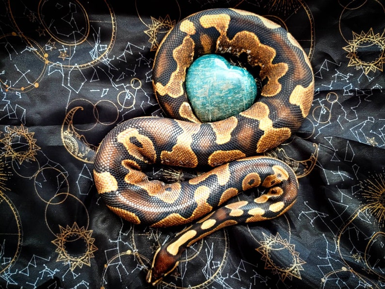 G\u00f6ker and Blue Apatite Sticker