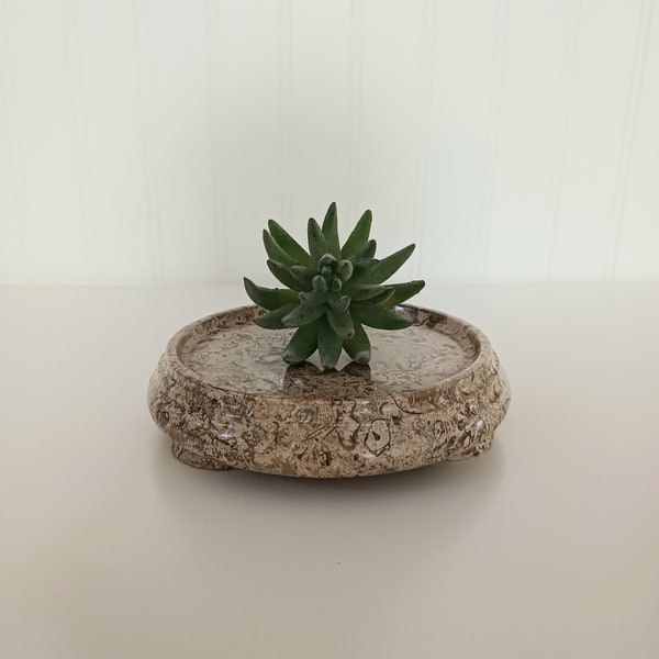 Plant Riser - Etsy