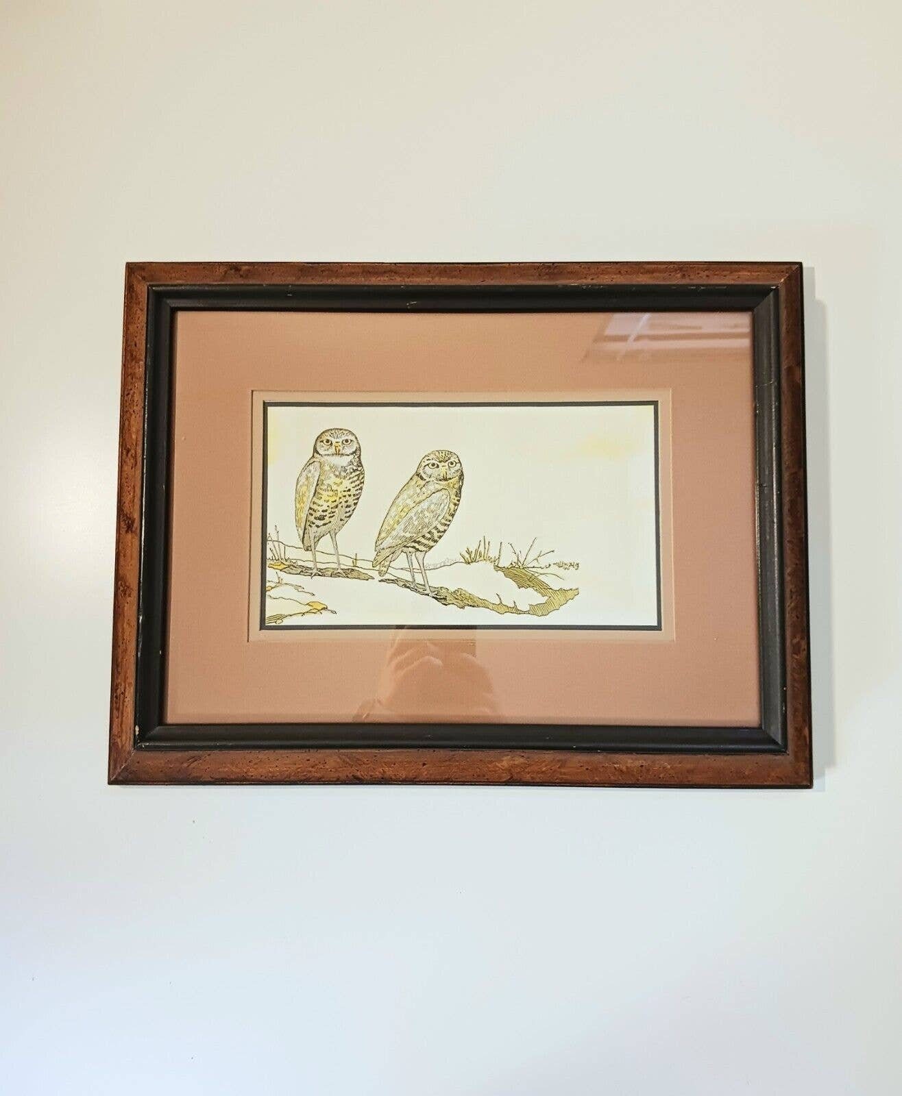Original RE Thompson Owl Art Work - Vintage Pen & Watercolor Framed Bird Illustration - Signed b