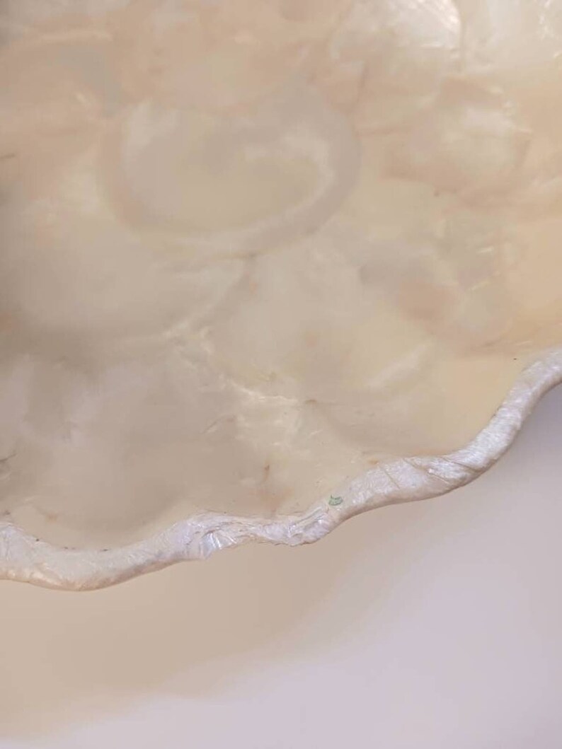 Vintage Capiz Shell Bowl - Luster Shell Shaped Dish - Vintage Home ...