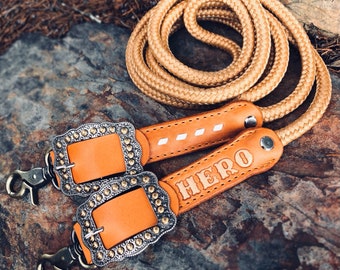 Customizable Leather and Rope Reins