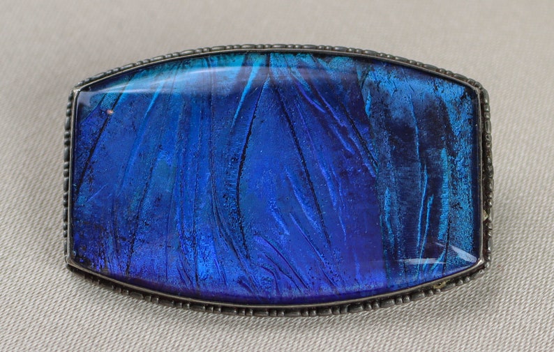 925 England Art Deco Sterling Silver T.L.M /& Blue Morpho Butterfly Wing Glowing Brooch