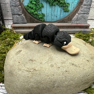 May include: A black and brown toy platypus with a long, flat bill. The platypus is sitting on a large, gray rock.