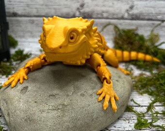 Articulated Bearded Dragon! - 3D printed - Expressive eyes