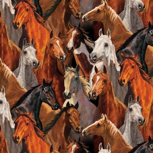 Sombrero, mascarilla o juego quirúrgico. Horsen alrededor del caballo