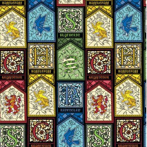 Schrubbmütze und Maskenset Potter