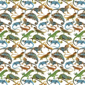 Surgical Scrub Hat / Scrub Cap  or Mask.  Tropical Lizards