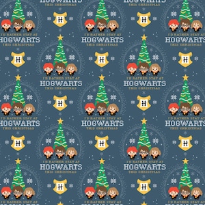 Schrubbmütze und Maskenset Potter Harry