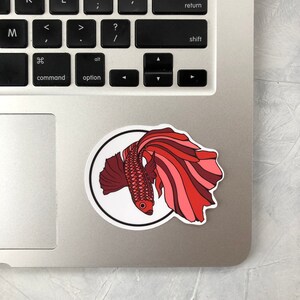 May include: A red and pink betta fish sticker on a silver laptop.