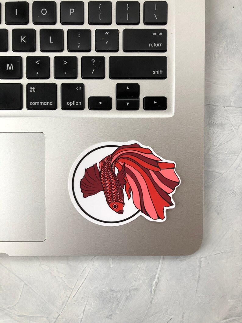 May include: A red and pink betta fish sticker on a silver laptop.