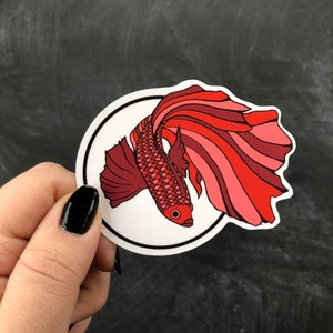 May include: A red and pink betta fish sticker with a white background and a black outline. The sticker is circular and has a glossy finish.
