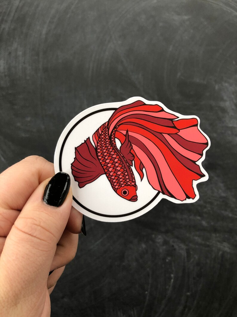 May include: A red and pink betta fish sticker with a white background and a black outline. The sticker is circular and has a glossy finish.