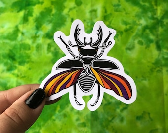 Beetle Sticker, Spooky Stickers, Halloween Stickers, Witchy Stickers