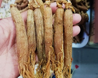 Hoge kwaliteit 250g voor 20pcs Root Panax Red Ginseng Hele Wortel, 6 Jaar Rode Panax Roots