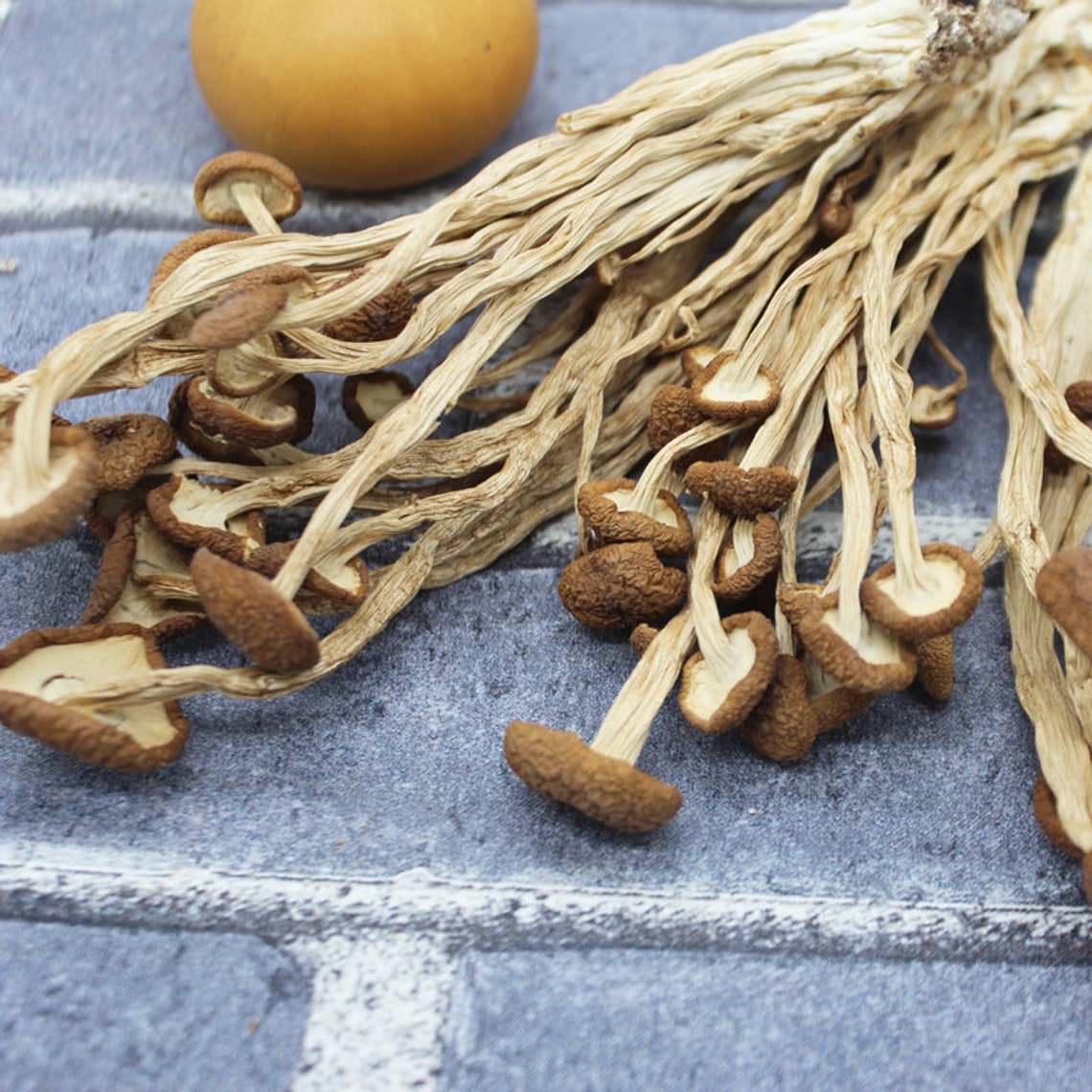 250g Selected Dried Food Tea Plant Mushrooms/fungus/tea Tree Etsy