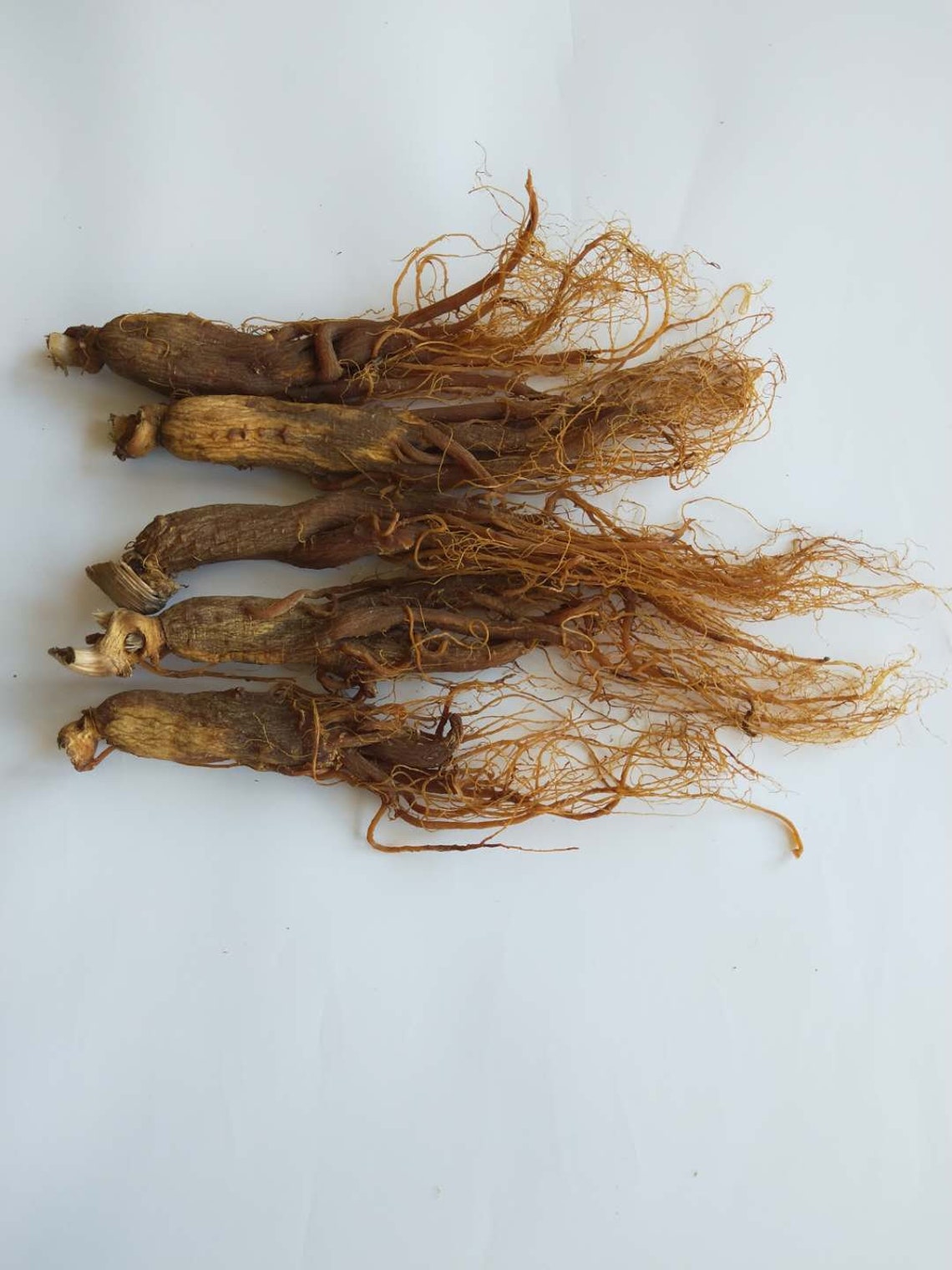 Top Quality 250g Red Ginseng Root 10 Years Dry Ginseng Root Etsy