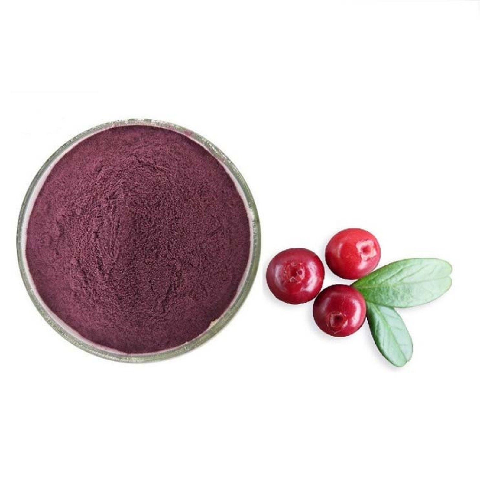 1.1LB Organic Bilberry Powder for Eye & Vision Health Antioxidant Etsy
